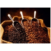 Italian Style Espresso 意式特濃 Italian Style Espresso 意式特濃