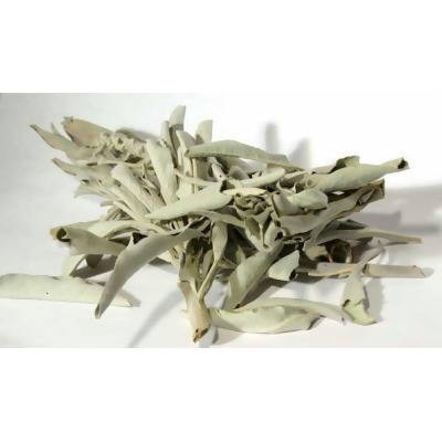 AzureGreen H16WSAG 1oz White Sage - Salvia Apiana 