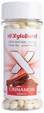 Xyloburst 585283 Cinnamon Xylitol Mints Jar - 200 piece 