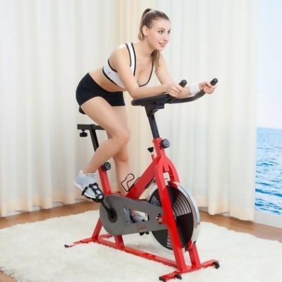 chain driven exercise bike