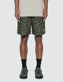 stussy leopard shorts