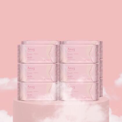 12 Packs Amez Care Pantyliner 