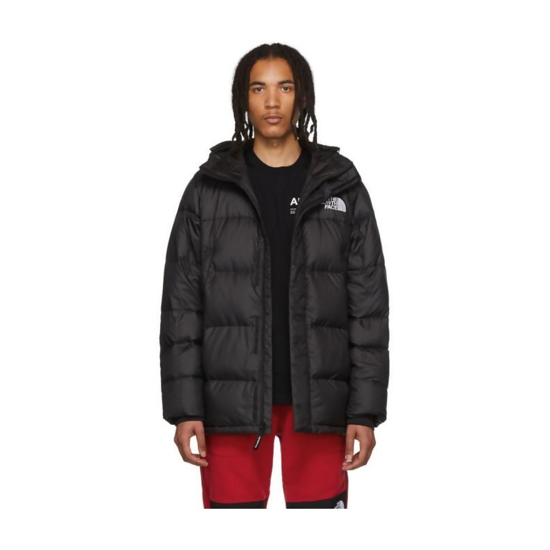 the north face men's deptford down jacket