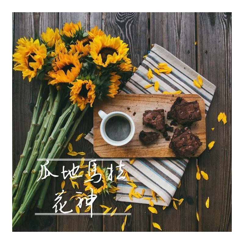 花神 中深焙 水洗aa 咖啡豆225g 包from 織夢咖啡at Shop Com Tw