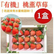 竹青亭農場-特殊水蜜桃風味•日本品種桃薰『有機』草莓 竹青亭農場-特殊水蜜桃風味•日本品種桃薰『有機』草莓