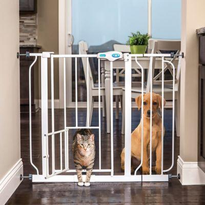 baby gate bed bath beyond