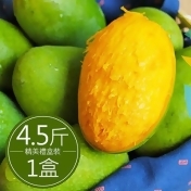盛夏土芒果(4.5台斤精美禮盒裝)/ 盛夏土芒果(4.5台斤精美禮盒裝)