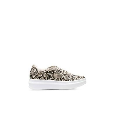 Cuba Snake Lace Up Trainers from Zalora 
