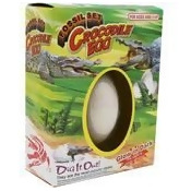 Glow in the Dark Crocodile Fossil Egg Glow in the Dark Crocodile Fossil Egg