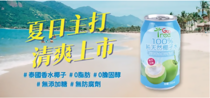 免運GENTREE金樹100%椰子水箱購優惠組24瓶 