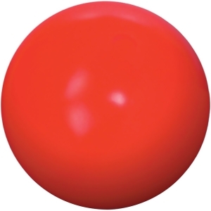 Virtually Indestructible Best Ball for Dogs  10-inch