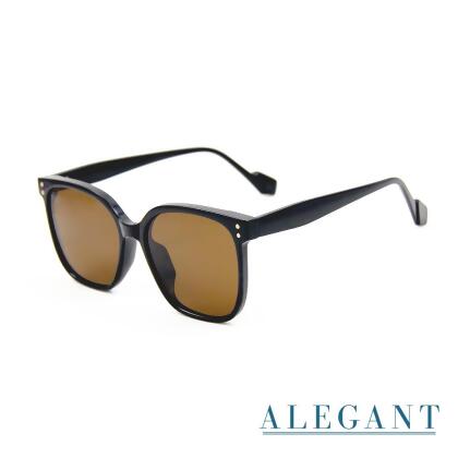 ALEGANT田納棕度假風韓版復古時尚中性方框輕量TR90偏光墨鏡 UV400太陽眼鏡 曠野的時光覆影 