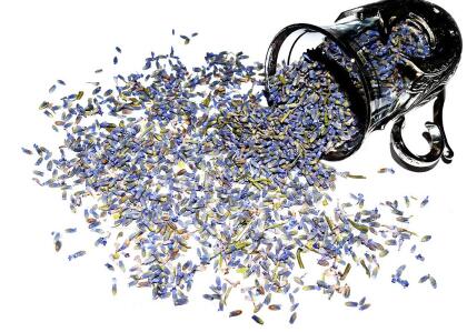 Lavender Tea, Decaffeinated, Loose Leaf Tea alternate image