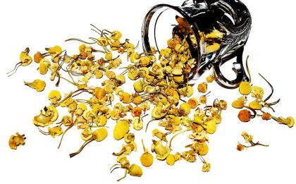 Chamomile Tea, Decaffeinated, Loose Leaf Tea alternate image