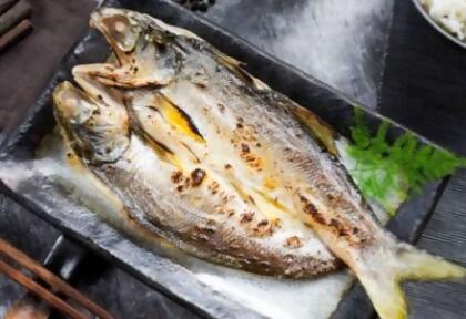 純海水養殖午仔魚/5尾 