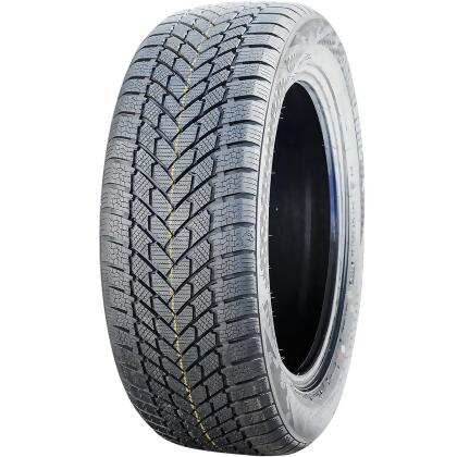 Auto Tire Armstrong Ski-Trac PC 205/55R16 91H SL Winter Touring 