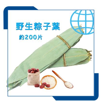 o2oTMart - 糉葉| 粽葉|大片（約200片） 不易破裂 不發霉 送草繩 _ 端午節 