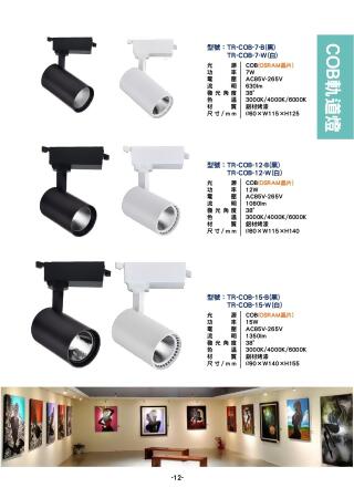 COB軌道燈系列 P12 