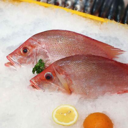 IKAN MERAH 800G 