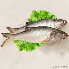 IKAN SENANGIN 750G 
