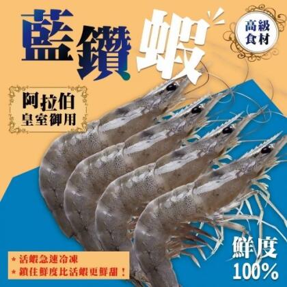 世界最高等級急凍藍鑽蝦(1000g/盒) 