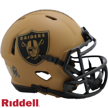 NFL Riddell Speed Mini Helmet for sale online