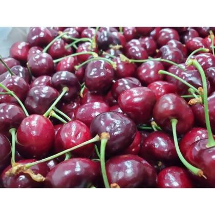 【618限量團購價】美國空運華盛頓櫻桃9.5Row (1kg/盒) / 空運華盛頓櫻桃9.5row (1kg/盒) 