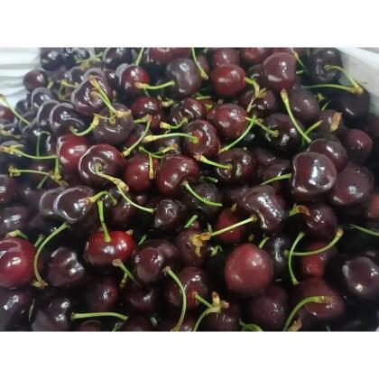 【季節限定/優惠搶鮮購】美國空運華盛頓櫻桃9.5Row (1Kg輕裝盒/2Kg禮盒版) / 空運華盛頓櫻桃9.5row (1kg/輕裝盒) 