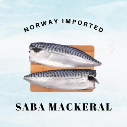 Frozen Norway Saba Mackerel Fillet 
