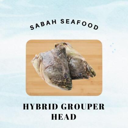 Frozen Sabah Hybrid Grouper Head 