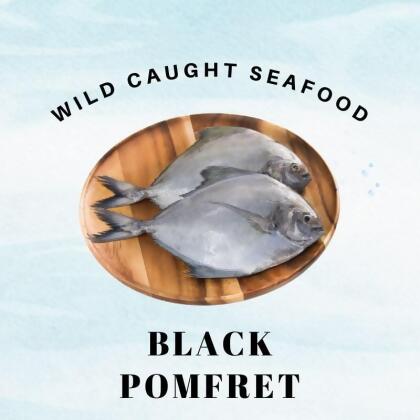 Wild Caught Sabah Black Pomfret 