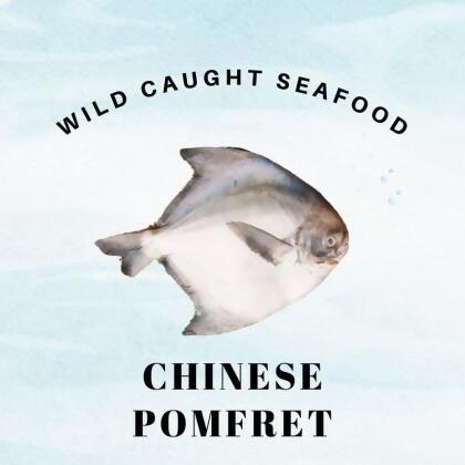 Wild Caught Sabah Chinese Pomfret 
