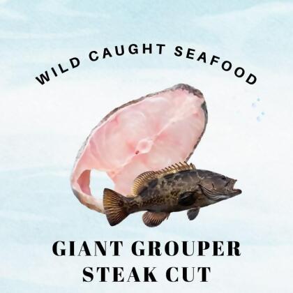 Wild Caught Sabah Giant Grouper Steak Cut 