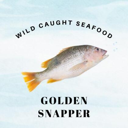 Wild Caught Sabah Golden Snapper 