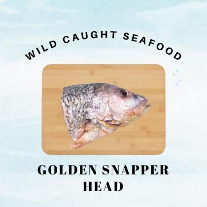 Wild Caught Sabah Golden Snapper Head 