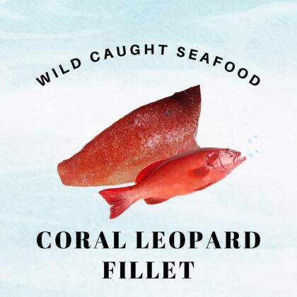 Wild Caught Sabah Leopard Coral Grouper Fillet 