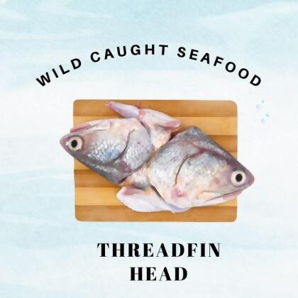 Wild Caught Sabah Threadfin Head 
