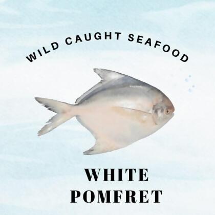 Wild Caught Sabah White Pomfret 