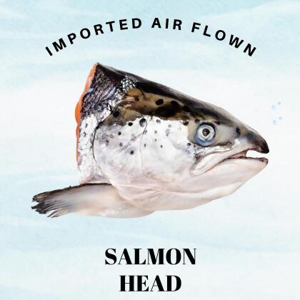 Premium Chile Coho Salmon Head 