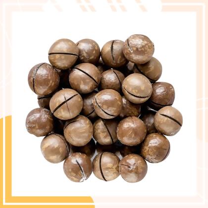 Roasted Salted Macadamia In Shell 