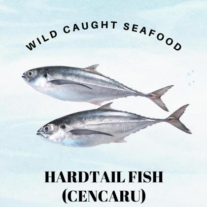 Wild Caught Sabah Hardtail Fish (Ikan Cencaru) 