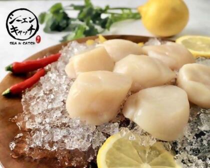 北海道生食級干貝 1000g 