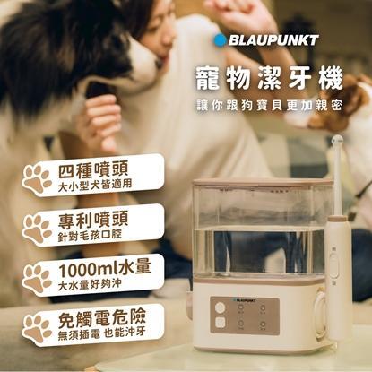 【BLAUPUNKT藍寶】寵物潔牙機 BPH-TB02RP-美