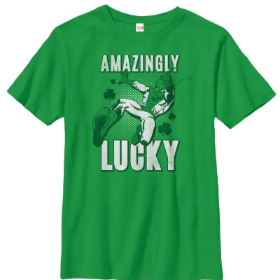 Boy's Marvel St. Patrick's Day Spider-Man Amazingly Lucky Graphic T-Shirt 