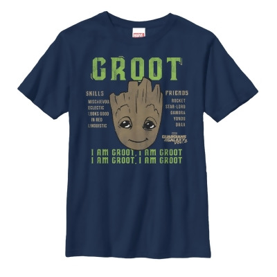 Boy's Marvel Guardians of the Galaxy Vol. 2 Groot Skills Graphic T-Shirt 