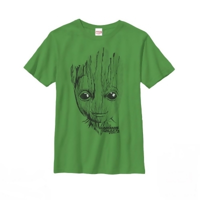 Boy's Marvel Guardians of the Galaxy Vol. 2 Groot Face Graphic T-Shirt 
