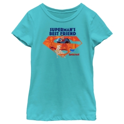 Girl's DC League of Super-Pets Superman's Best Friend Krypto Logo Graphic T-Shirt 