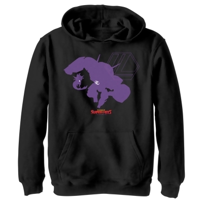 Boy's DC League of Super-Pets Lex Luthor and Lulu Silhouettes Pullover Hoodie 