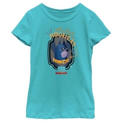 Girl's DC League of Super-Pets Ace The Bat-Hound Shelter Hooligan Graphic T-Shirt 
