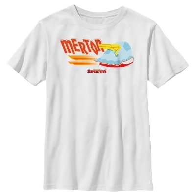 Boy's DC League of Super-Pets Merton Wing Shell Graphic T-Shirt 